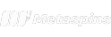 Metaspins